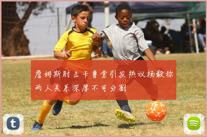 詹姆斯肘击卡鲁索引发热议杨毅称两人关系深厚不可分割